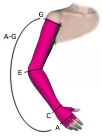 Mediven Arm Sleeve Size Chart