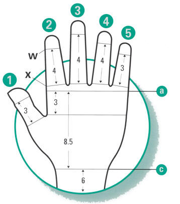 Juzo Gauntlet and Glove Measuring Diagram